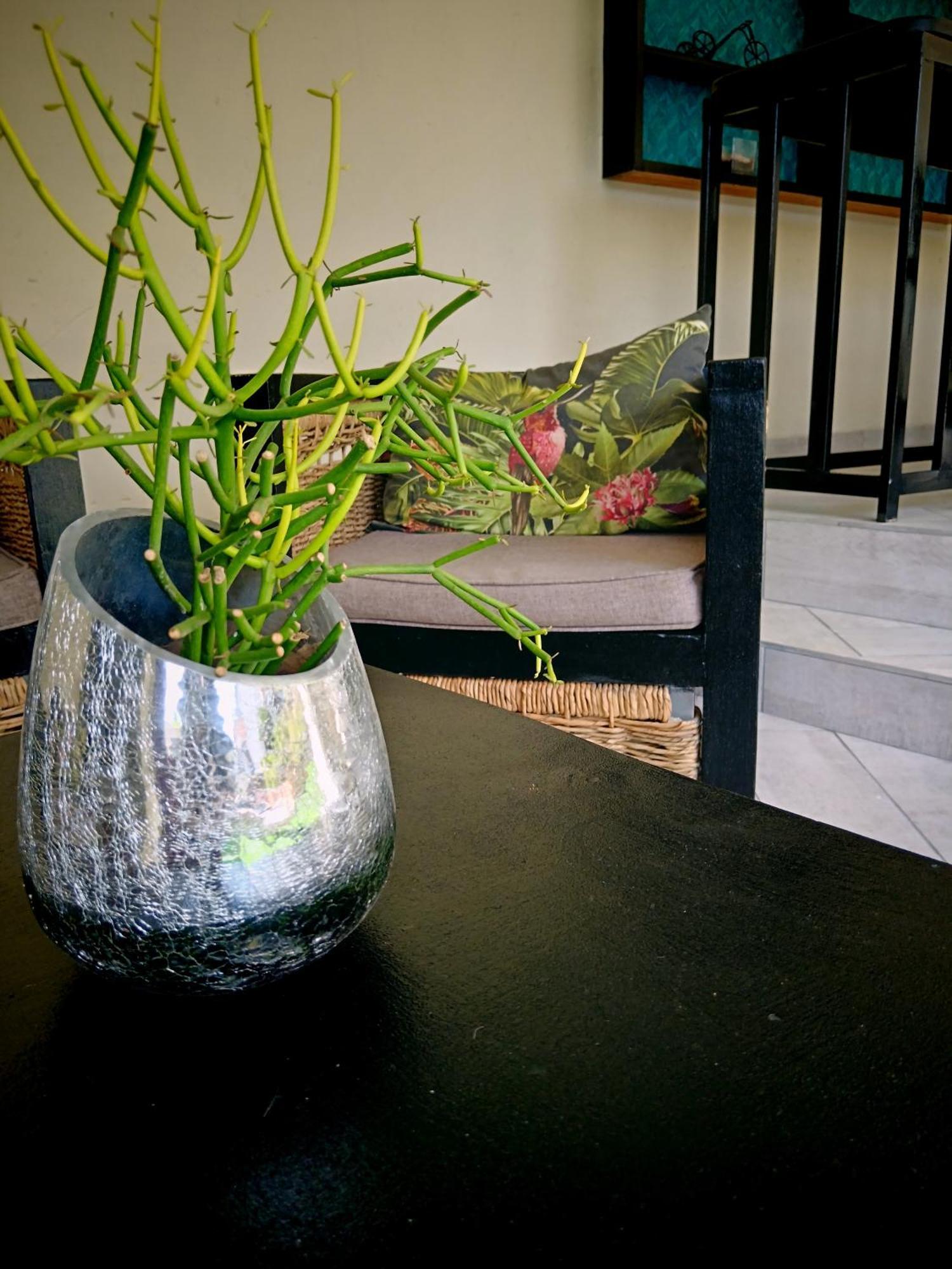 יוהנסבורג Boutique Stay מראה חיצוני תמונה